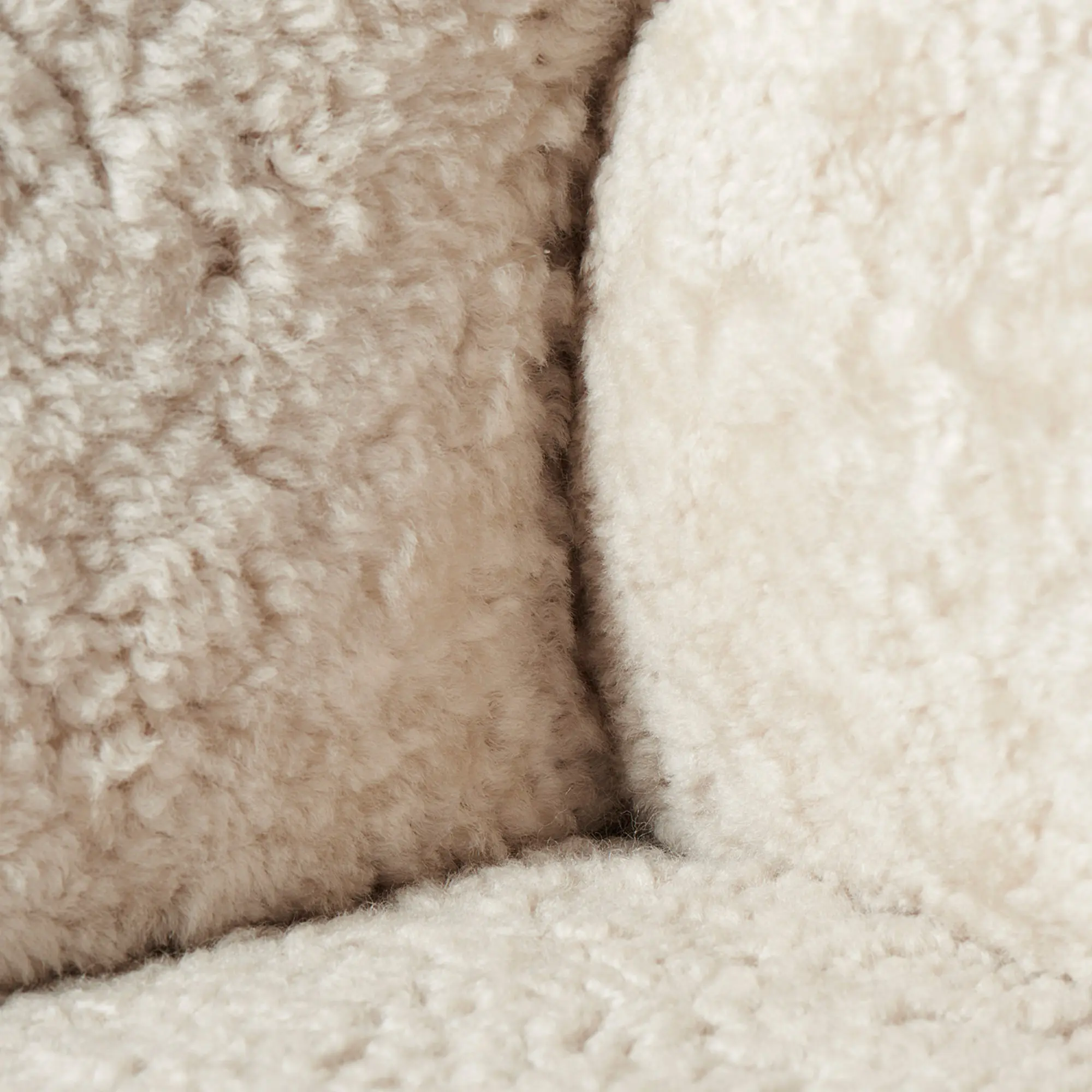 10807982__P_image_06ac0fab-a07a-4262-9019-24de40c556a4