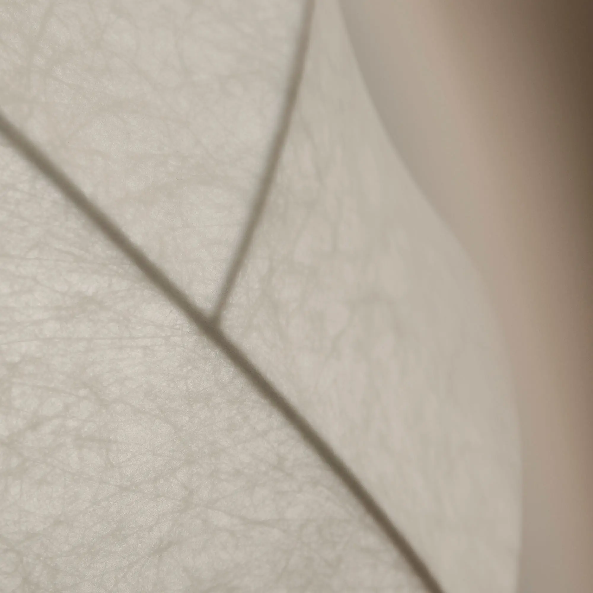 10705049__P_image_0bb2210a-aa1b-4f83-bed2-b217427f279d
