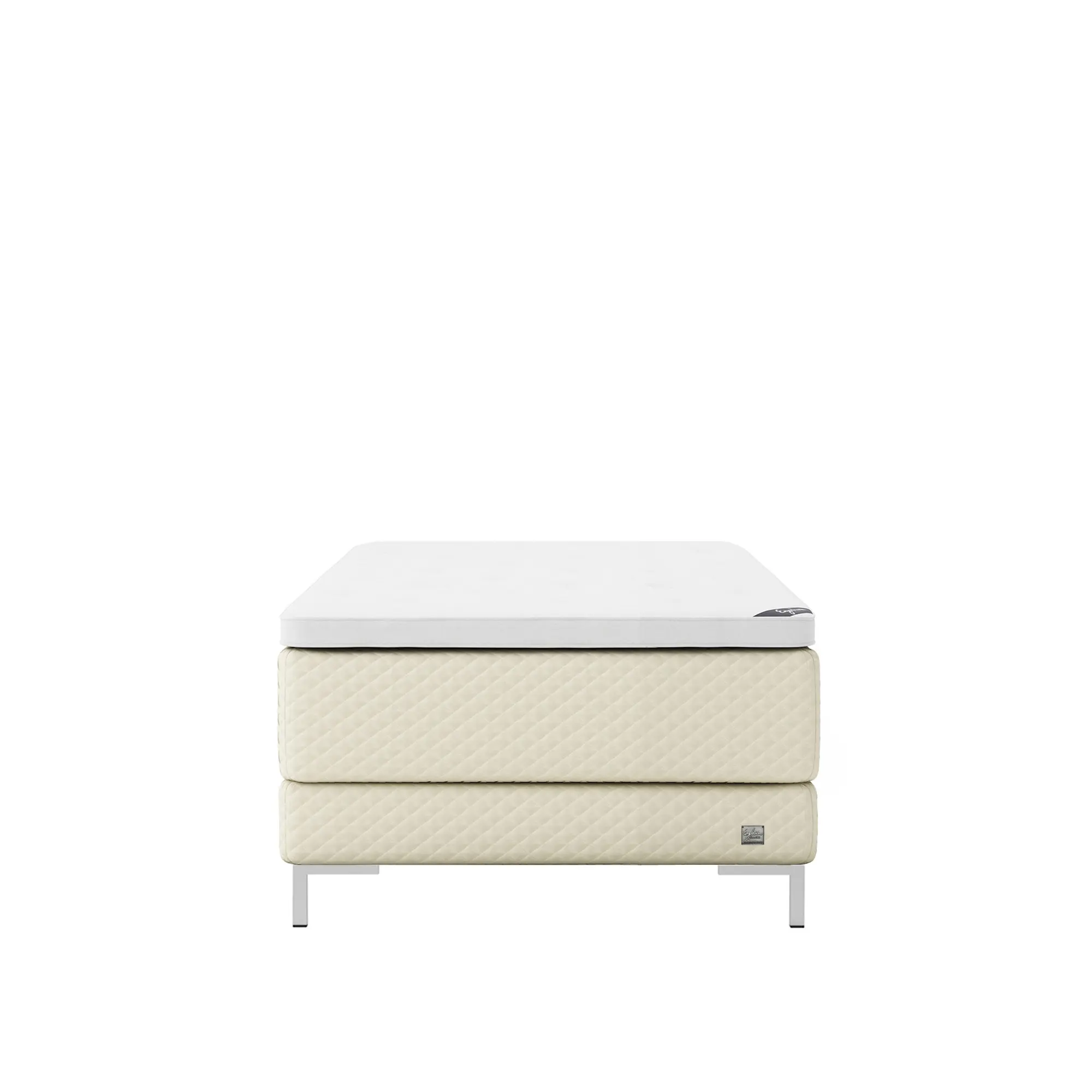 10748936__P_image_10af1860-477d-4454-a855-157a1deba9bb