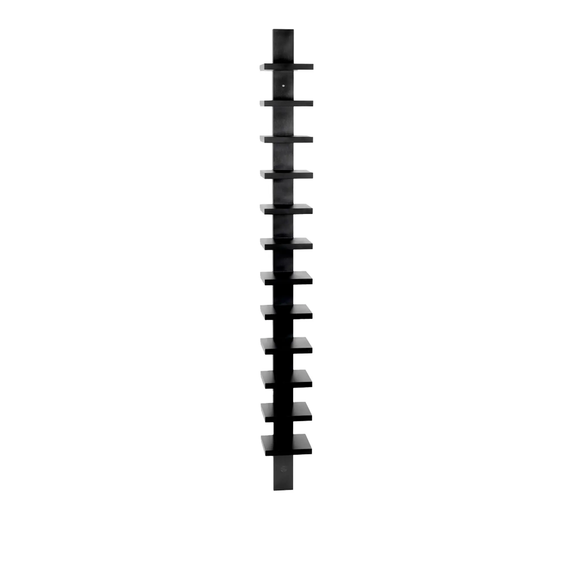 10006379__P_image_21b84bdd-54ca-4582-9cf2-6a85f06e7292