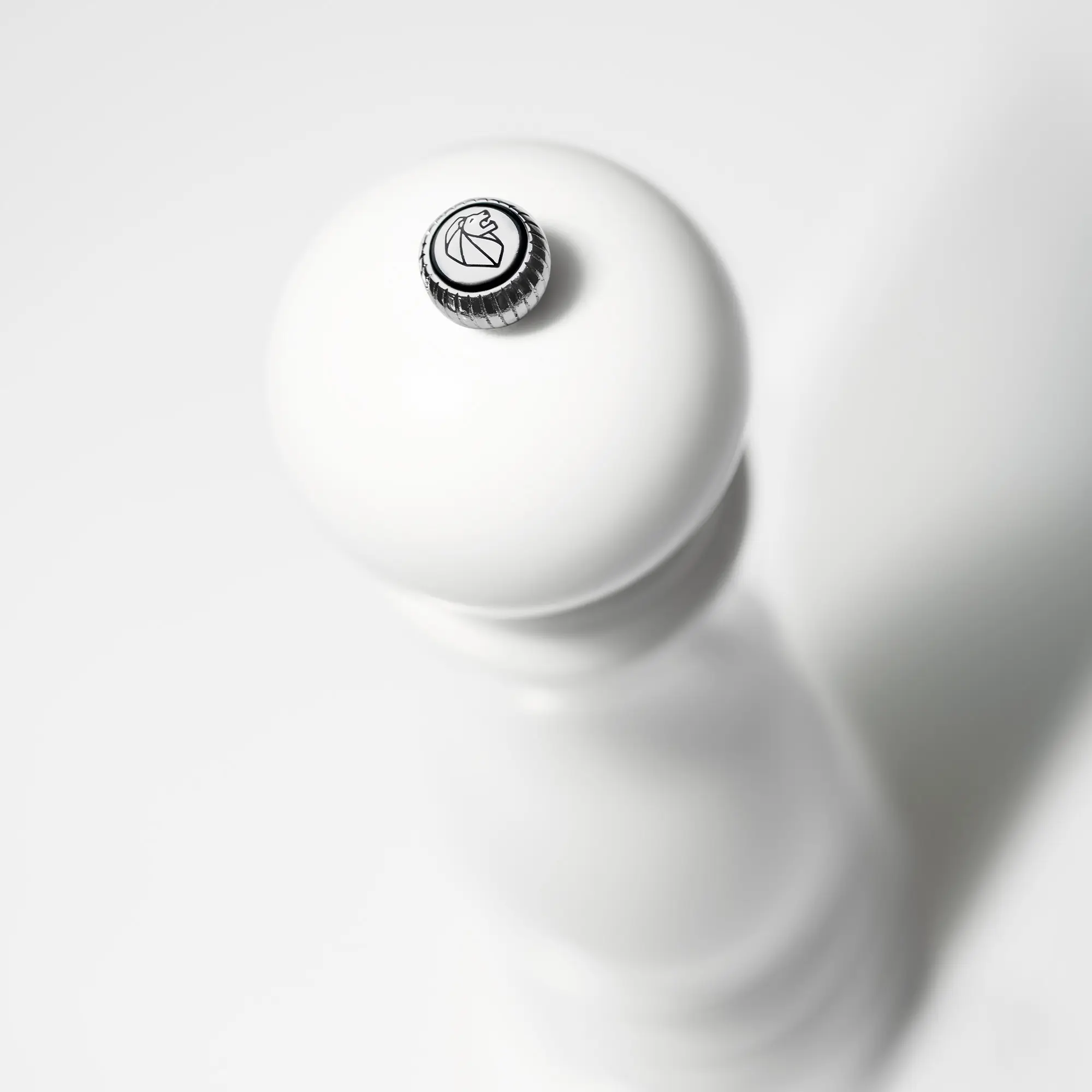 10755919__P_image_2df4b8c7-2e18-4b26-8812-01d6ffd26667