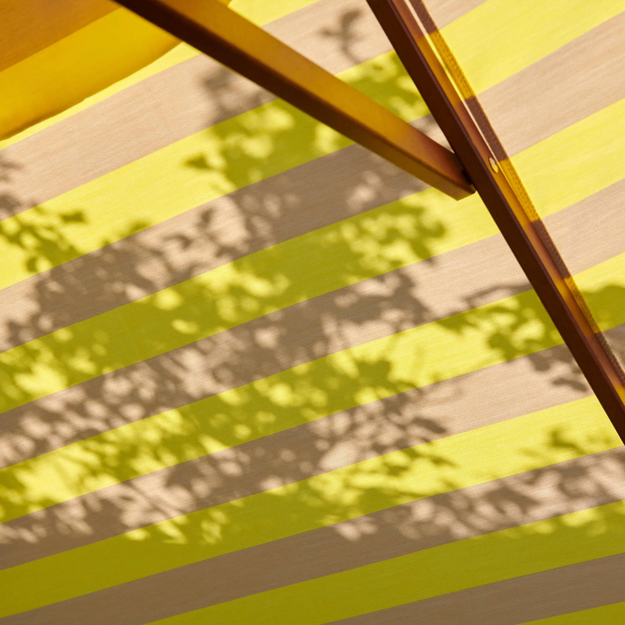 10419426__P_image_31c67b10-3f41-4133-8d26-7c92748cf925