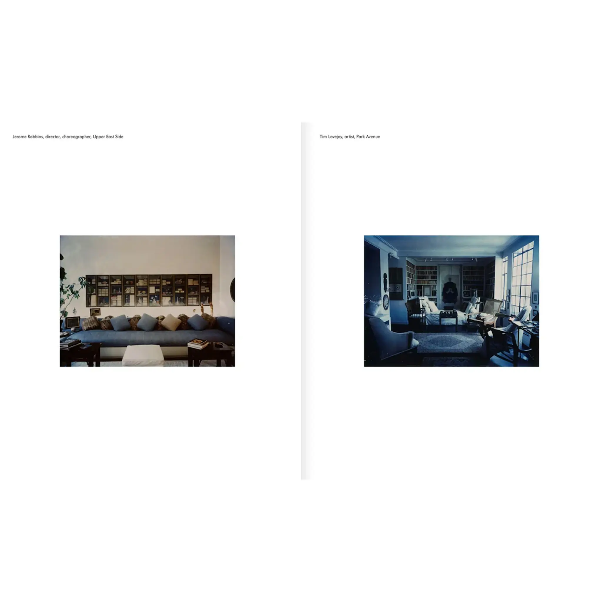 Paris Living Rooms, Dominique Nabokov fotobok