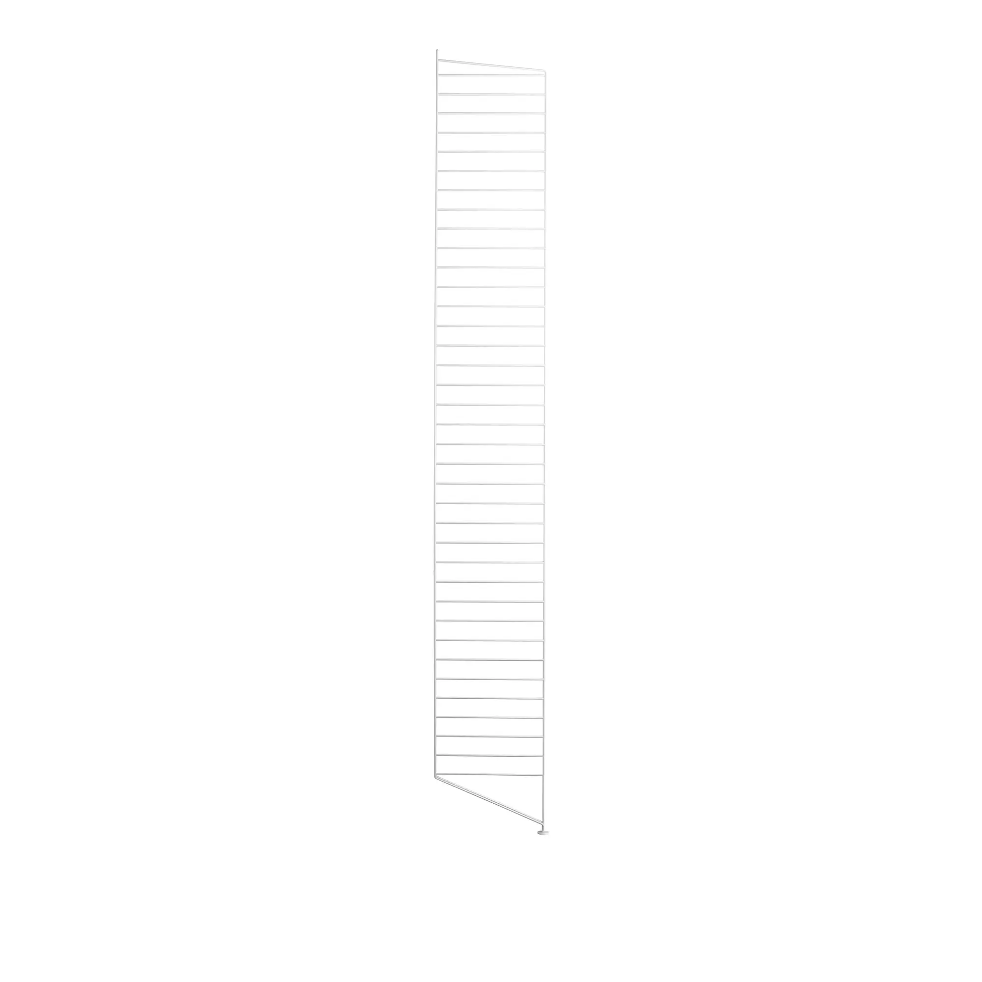 10003619__P_image_336b72e2-5844-47ba-b931-cfd58ed66df9