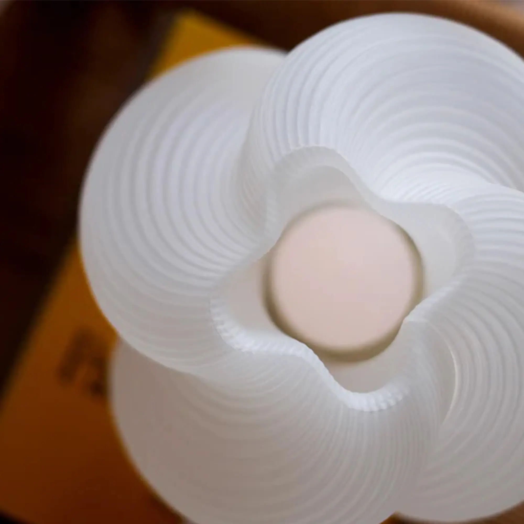 10733049__P_image_548e7834-08b0-4d99-bbe0-6473972352af