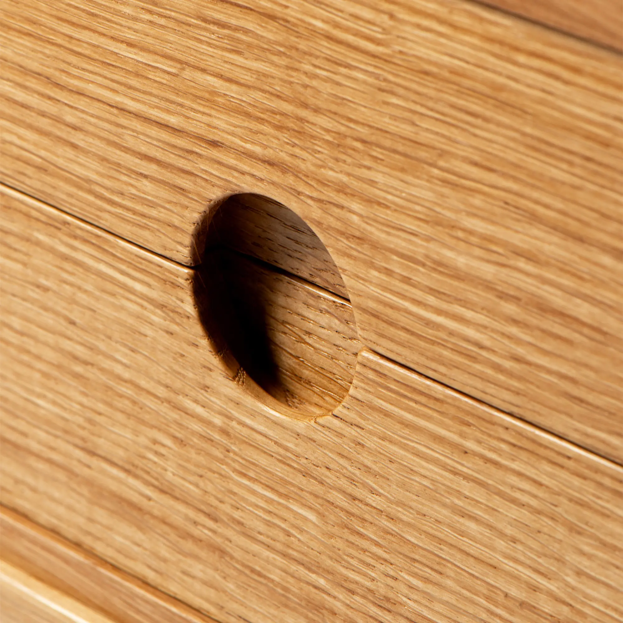 10807970__P_image_5c8fff51-eb52-47cd-81dc-94c29313d1b6