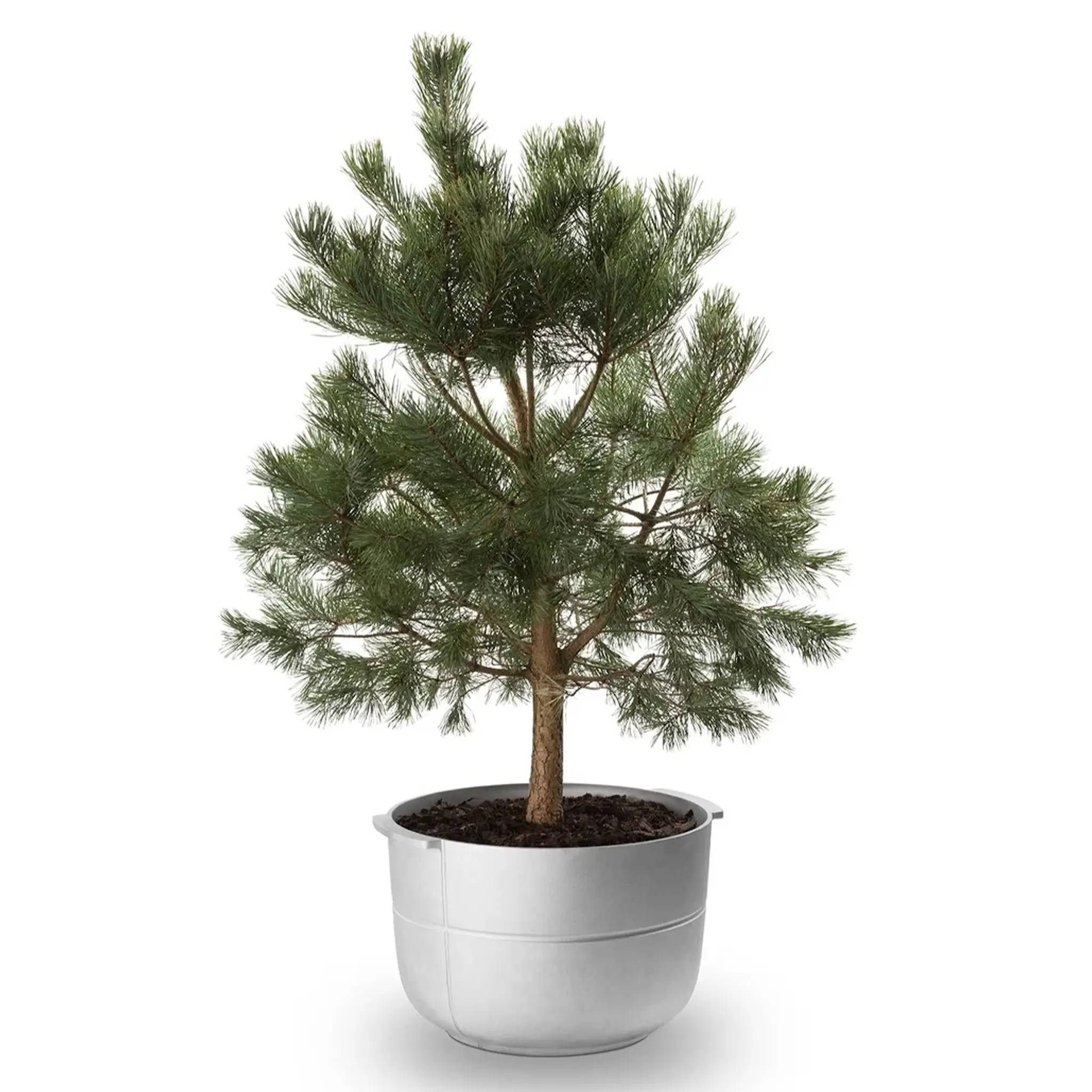 Linea planter no 2 - medium