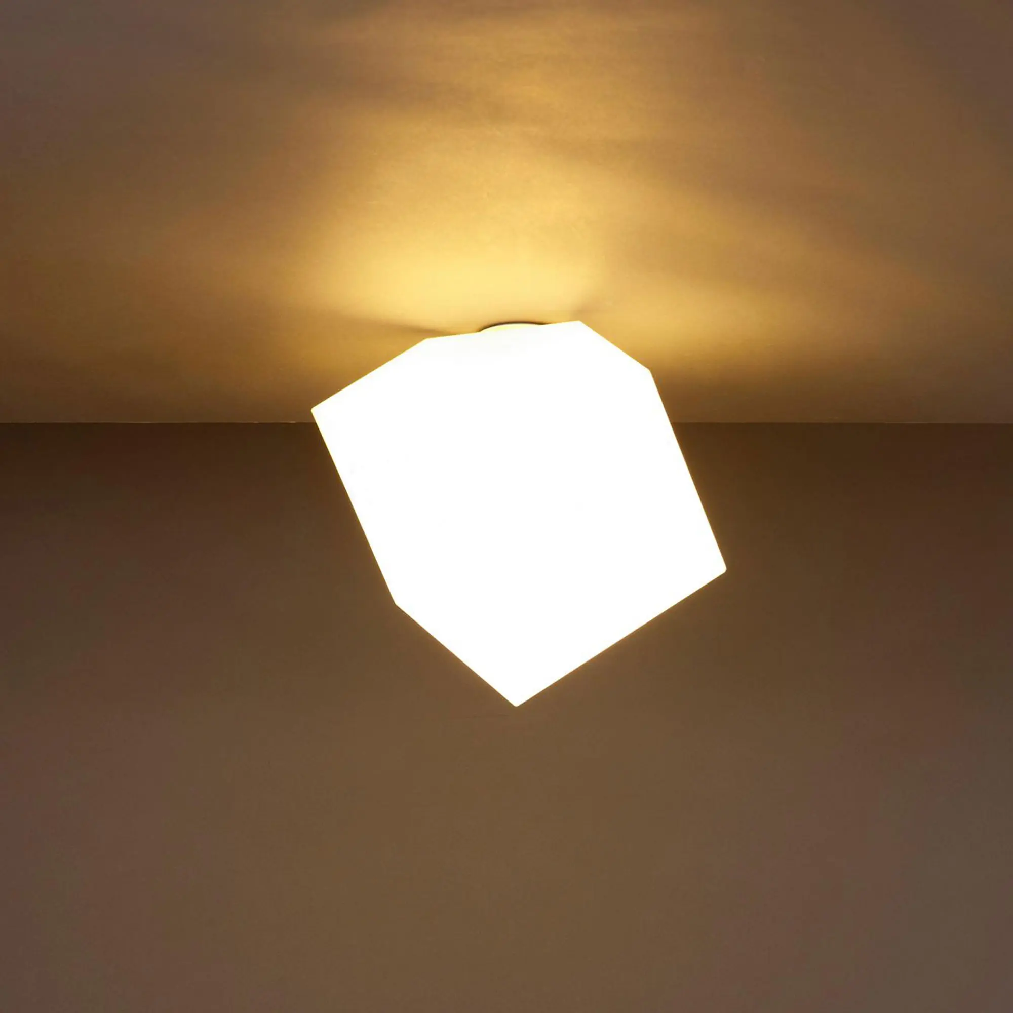 10166871__P_image_7c0b7d6d-a967-41b9-a954-3b067e17b242