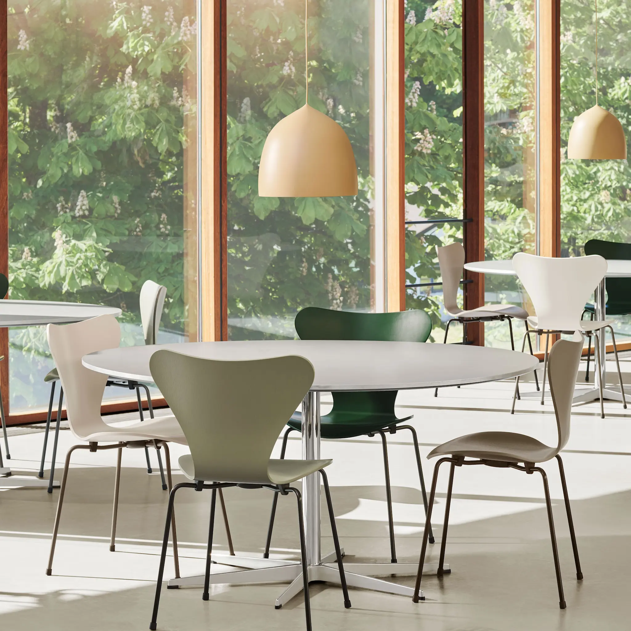 Sjuan 3107 stol lackerad bokfanér brown bronze / pale rose