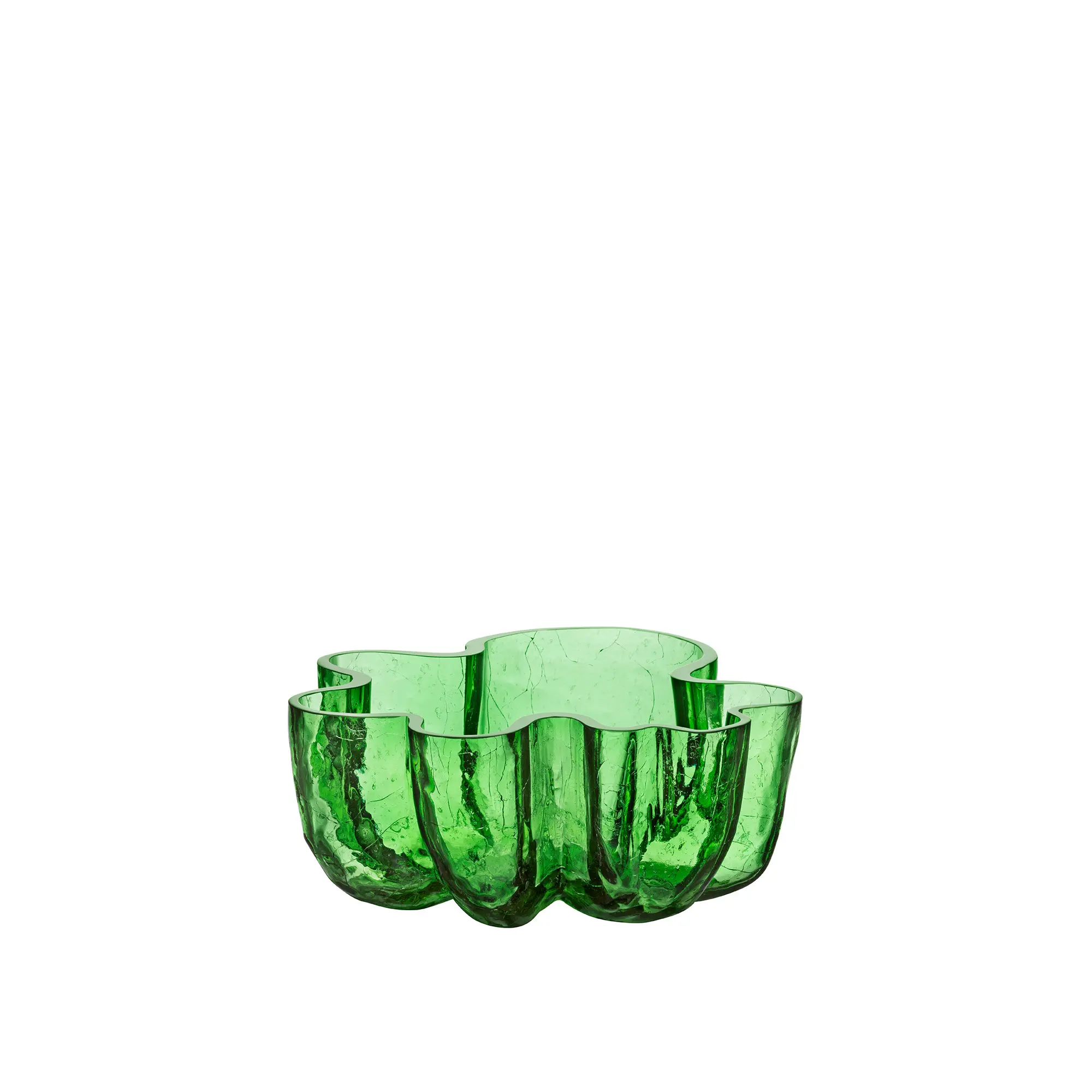 10740691__P_image_a4d4ee67-2123-436e-a92d-9e251db7c0c1