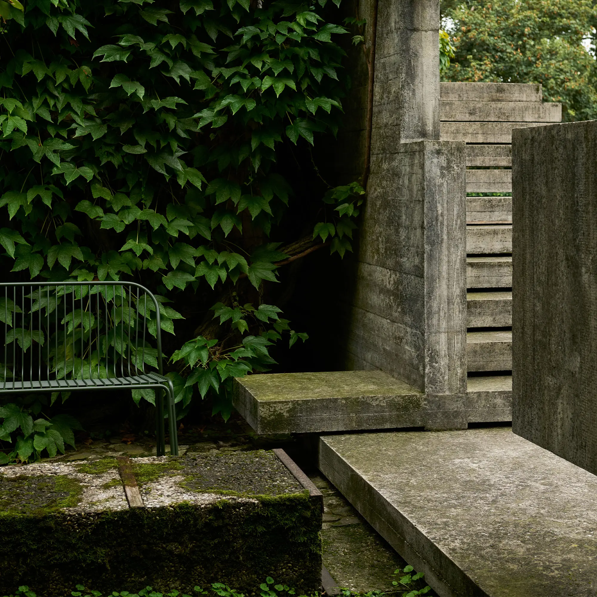10811704__P_image_a8585a3d-b698-4d4d-9ac3-521912f7dbb2