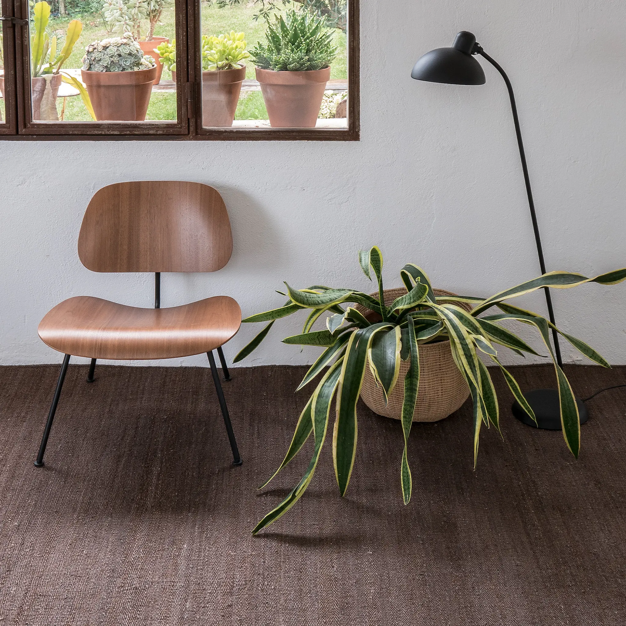 Vegetal jutematta Brown