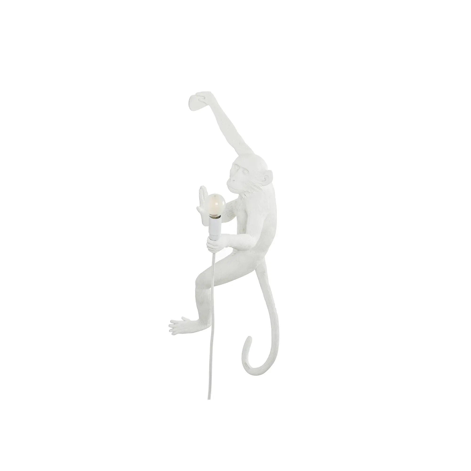 10256636__P_image_bfc55b37-4a9a-4e47-be60-4a564bd1bc4a