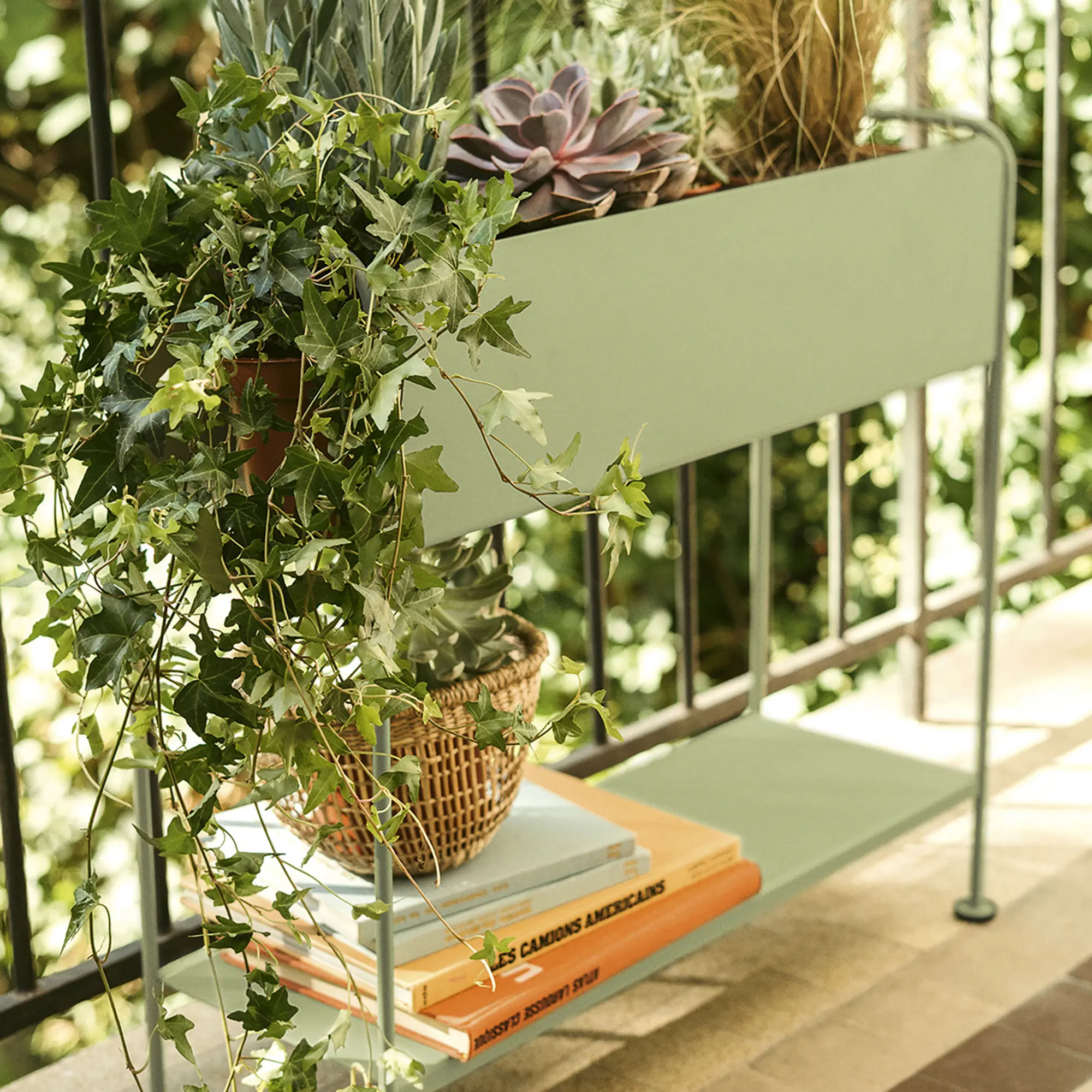 10725345__P_image_c423380e-ea6c-4cef-9b88-003b51805dca