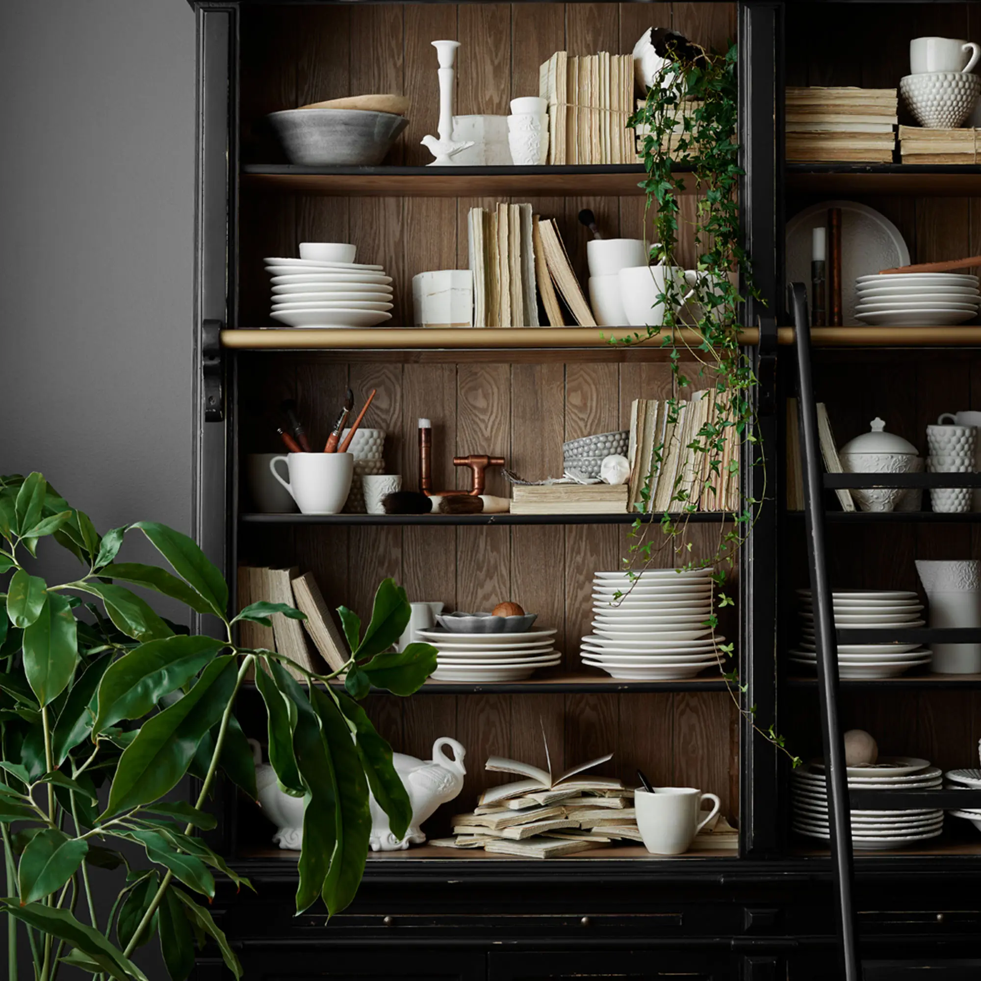 10704356__P_image_d28c25b6-0c30-4b56-85f5-f6bc462824db