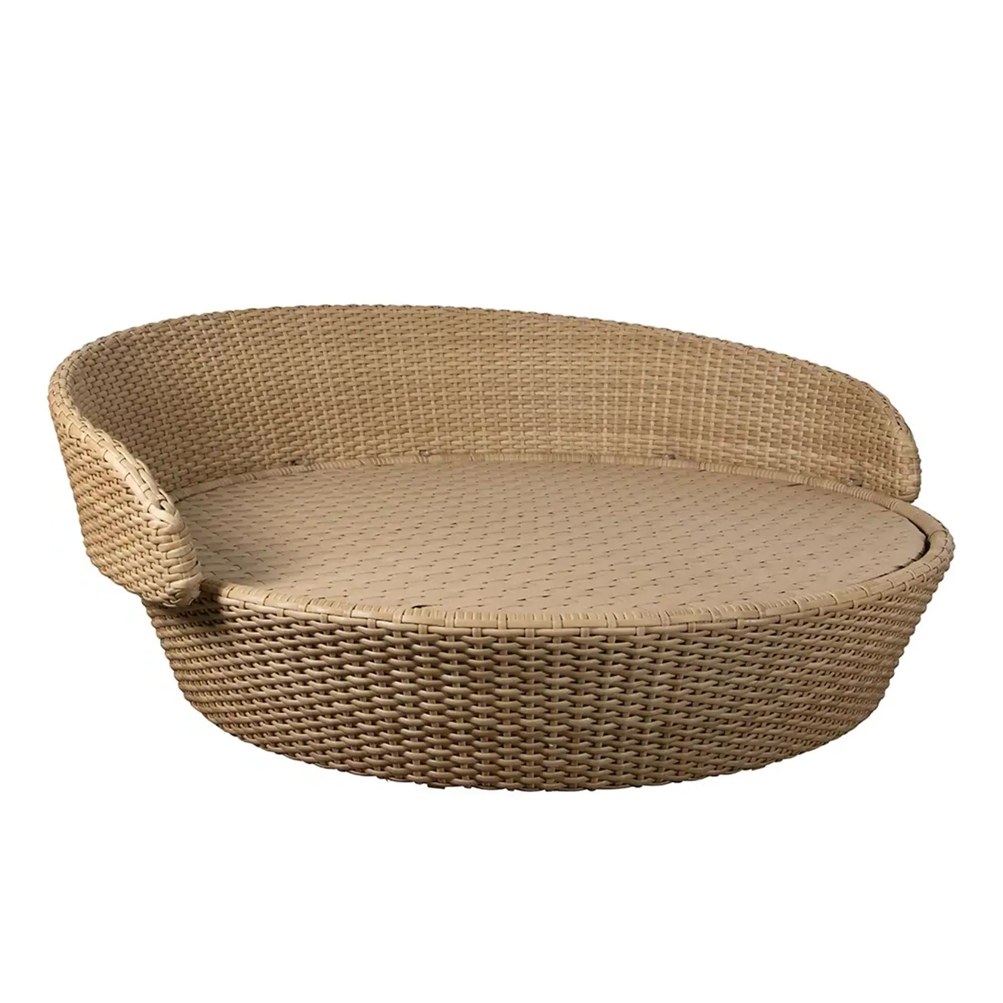 10731569__P_image_d9856197-2b44-4785-be47-6d24d910afb0