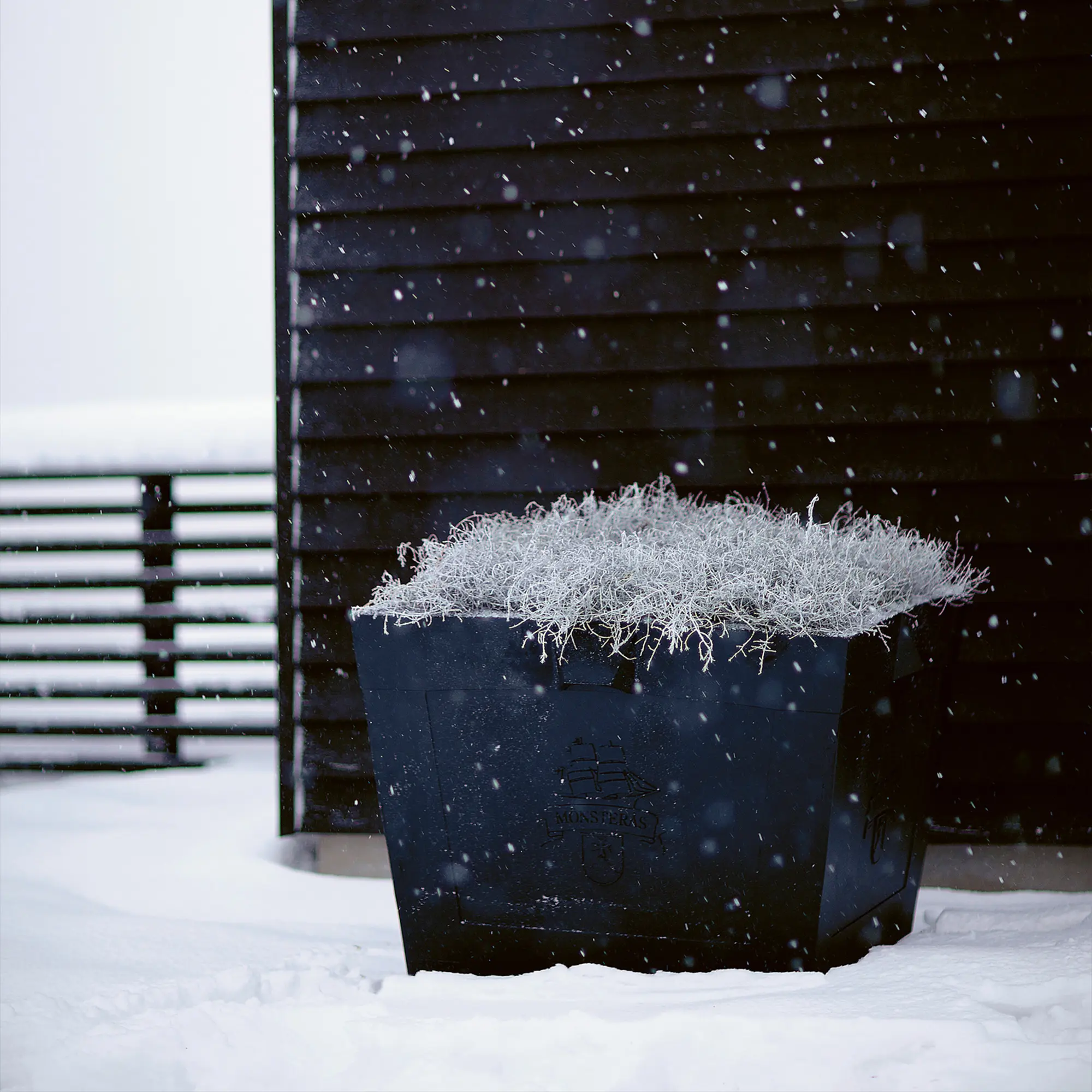 10729412__P_image_d9bf351f-f0e2-403b-a596-28f7c5548bf3