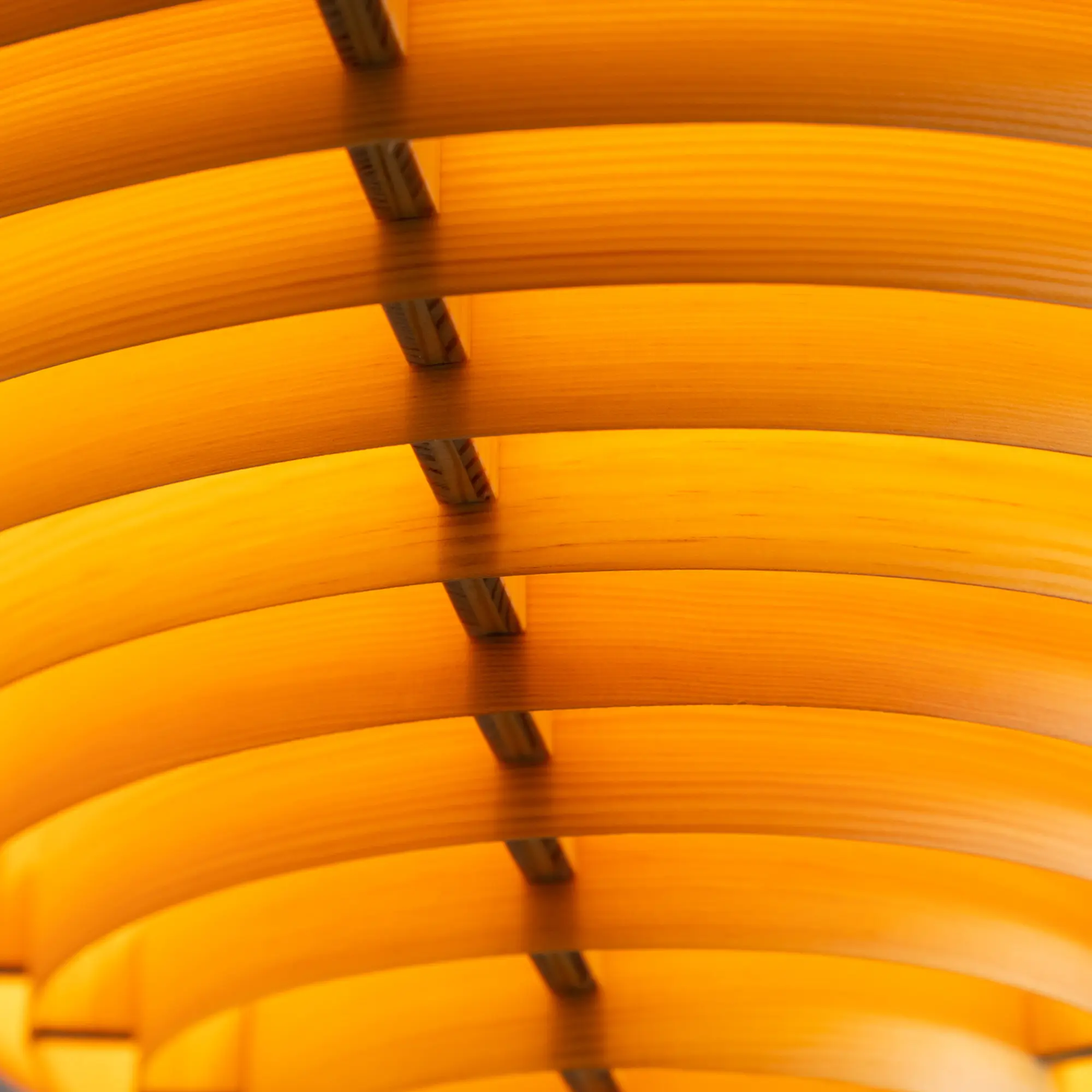 10739232__P_image_dd622c07-d530-4a75-a67f-b66ce3158f56