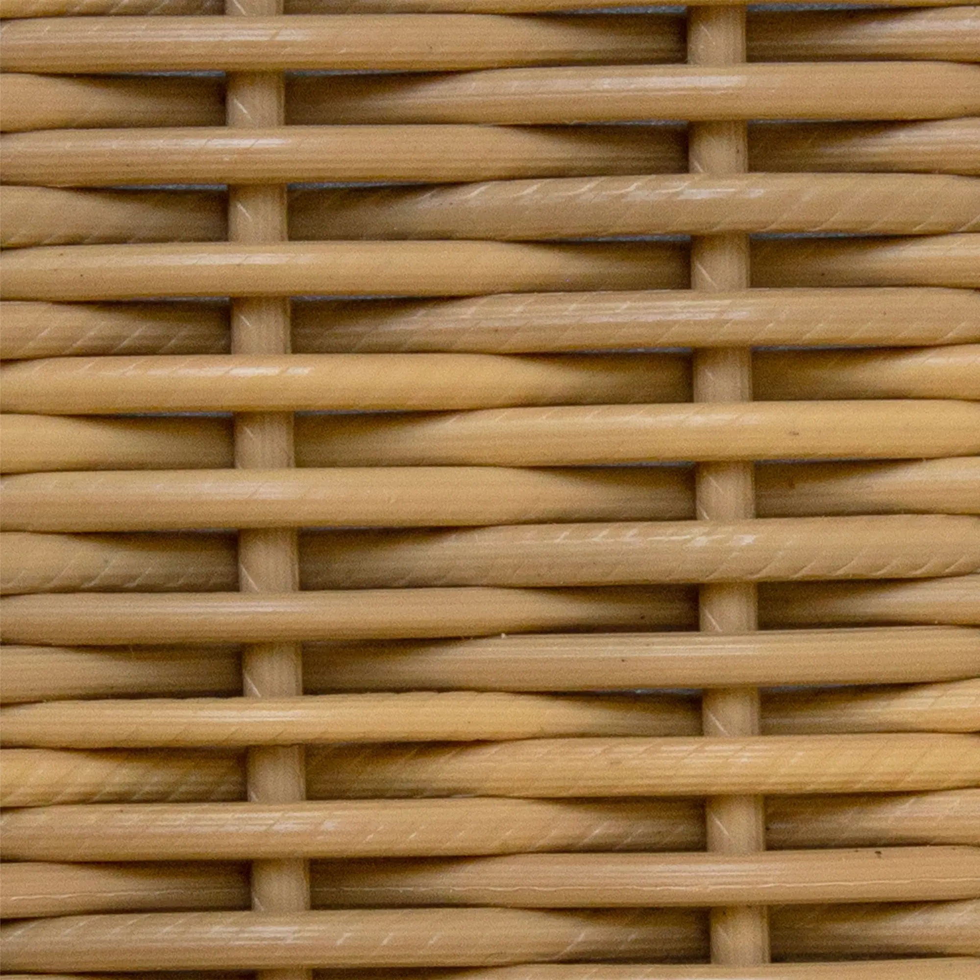 1001607__P_image_e3e0543e-1728-4310-aeb3-536f02bada95