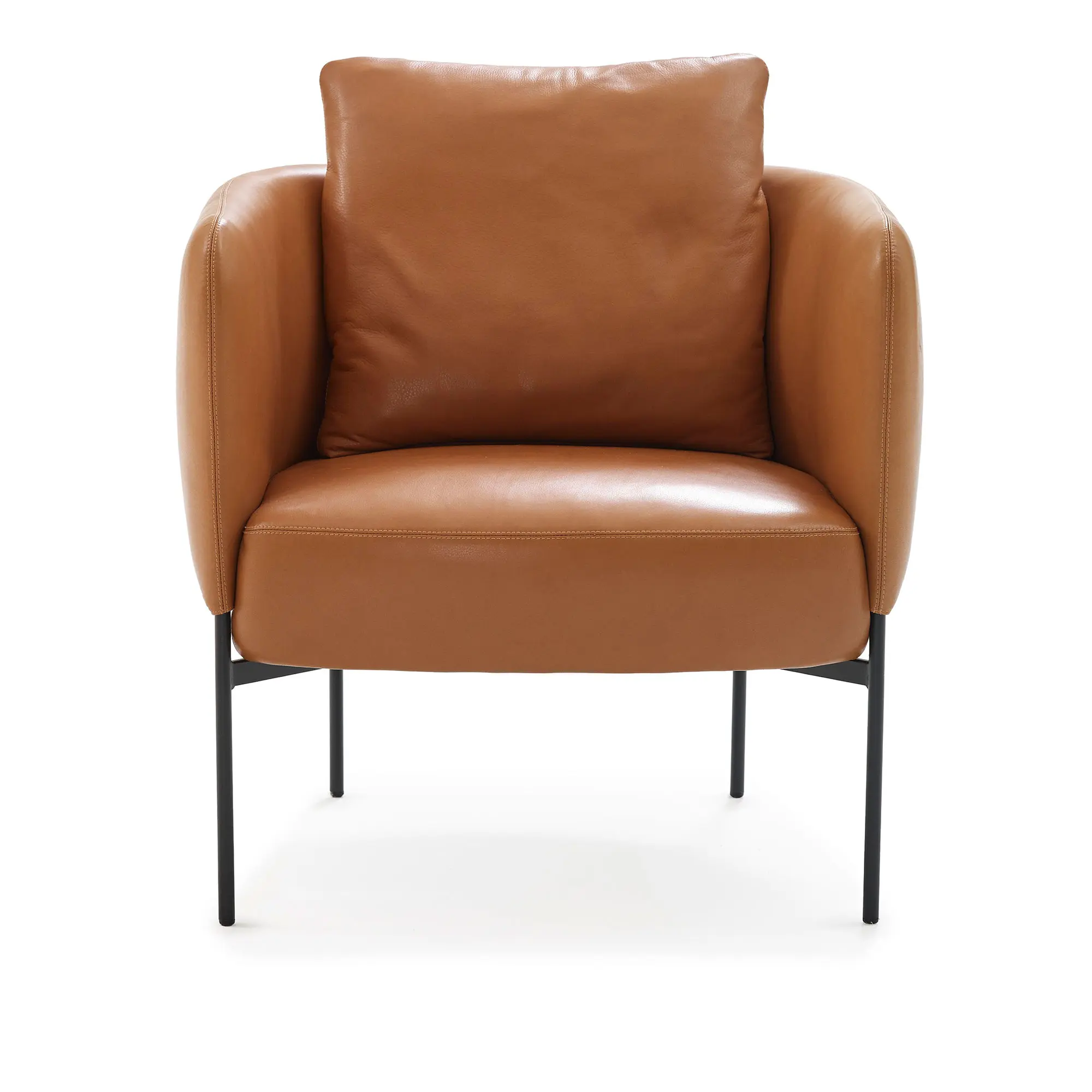 10264441__P_image_e5d342f5-c2c4-4fc9-8d8d-fec6b059182c