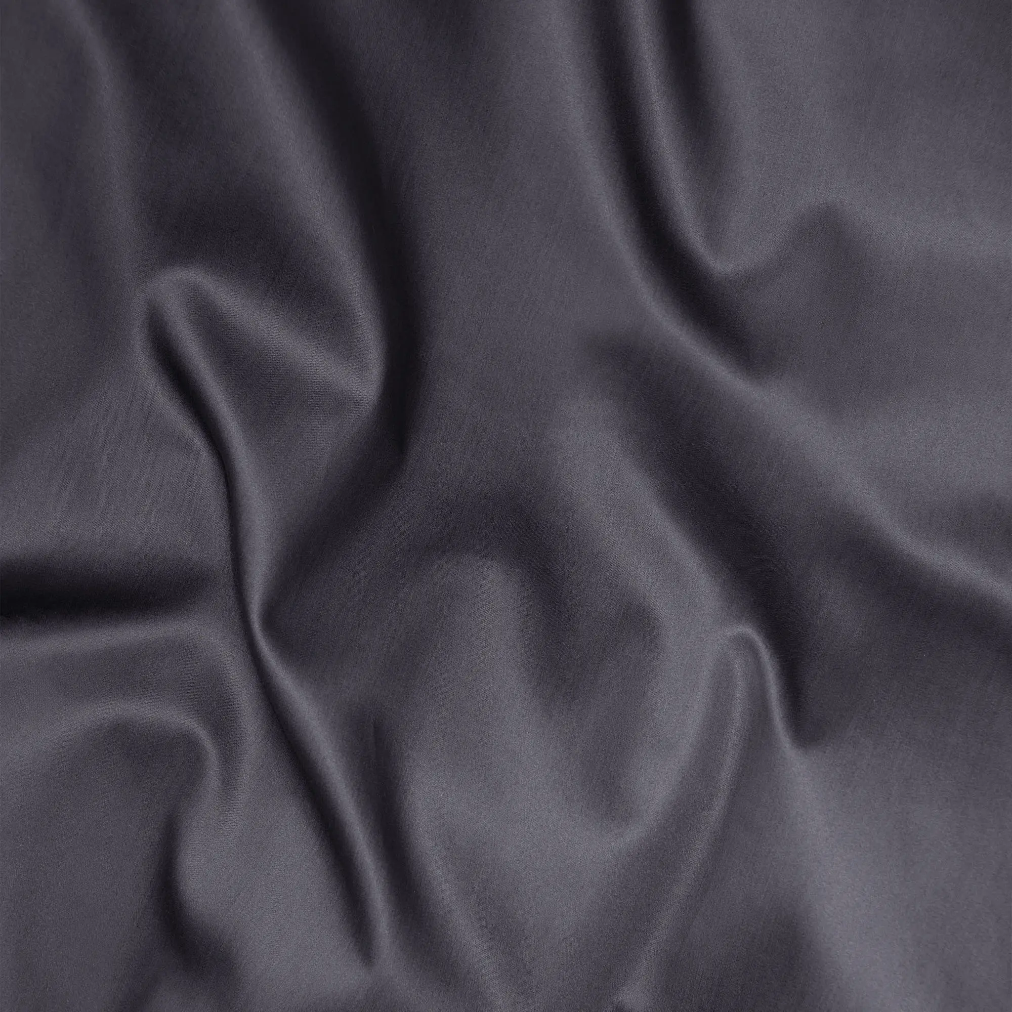 10715677__P_image_e7b59760-8329-424d-8ec6-a9f4b25059d8