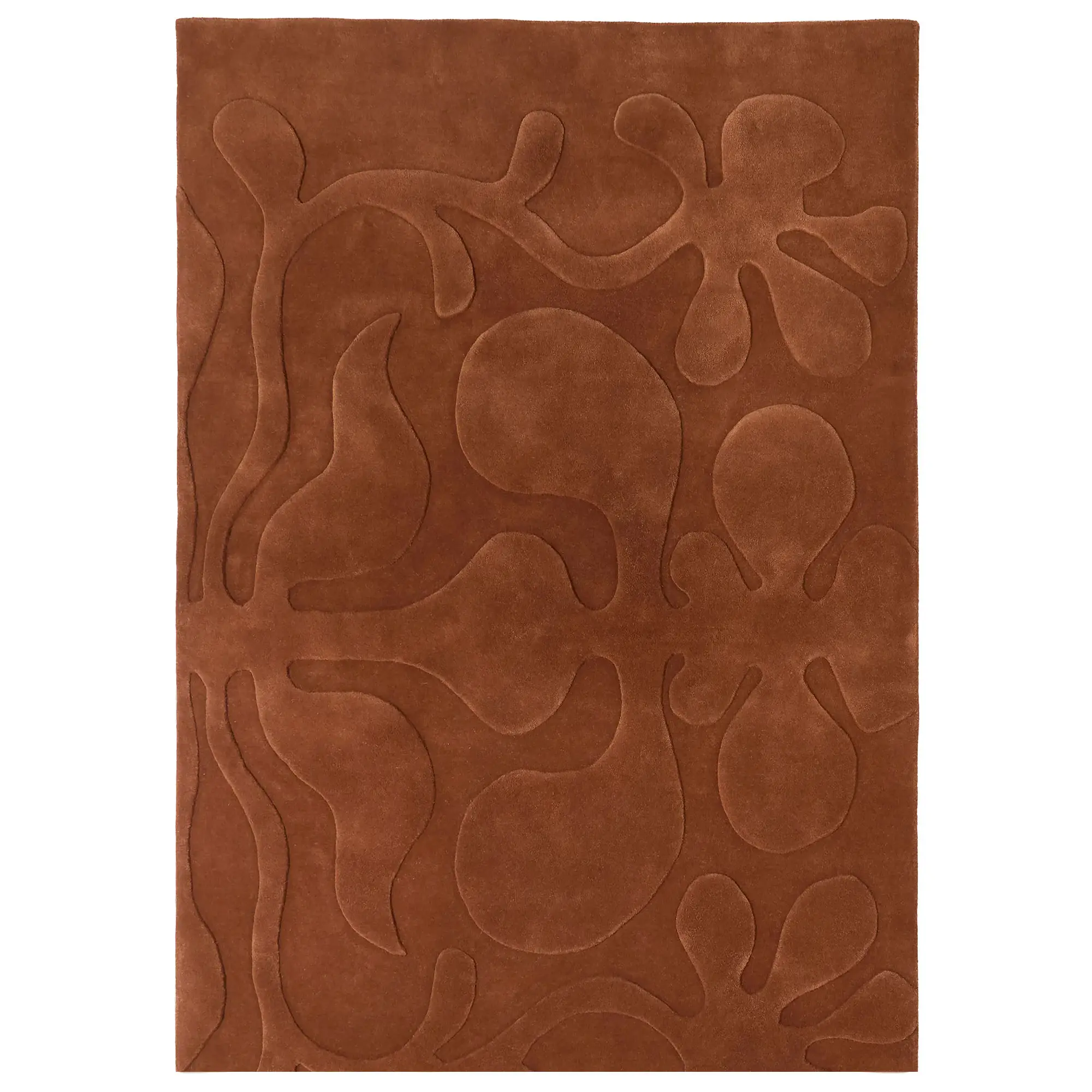 10813955__P_image_ec40437b-73ee-4b14-b909-3883786ebc84
